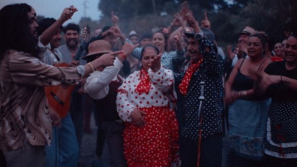 Ciné-doc : " La guitarra flamenca"