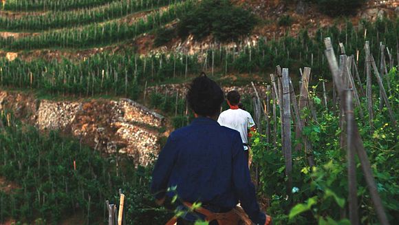 12 avril à 16h10 : Les Chaillées de l'enfer