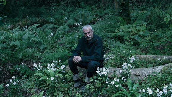 LES RENDEZ-VOUS CINÉPHILES