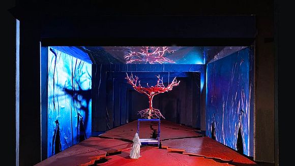 Le Dernier rêve de Frida et Diego (Metropolitan Opera)