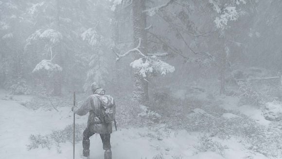 AVANT PREMIÈRE : Le chant des forêts