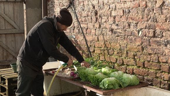 6 mai à 20h : Leurs Champs du cœur