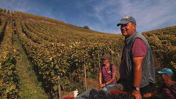 Séance rencontre - LES CHAILLÉES DE L'ENFER - suivi d'une dégustation de vin 