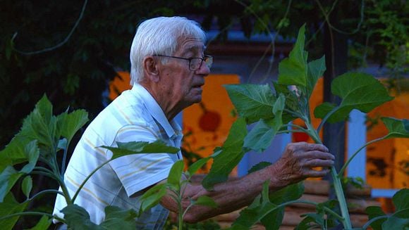 LE JARDINIER DE CES DAMES