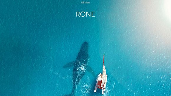 Ciné-doc: "La baleine et le musicien"