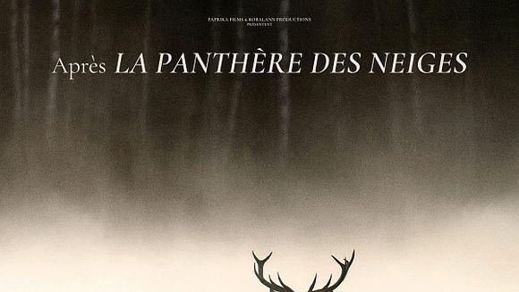 LE CHANT DES FORÊTS 