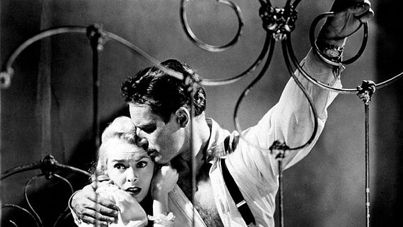 Cycle : L'art de l'adaptation