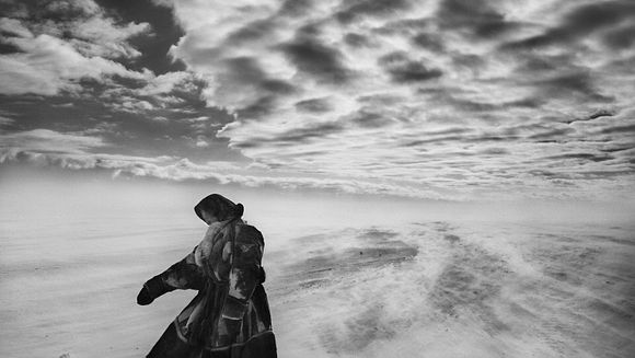Le Sel de la terre de Wim Wenders