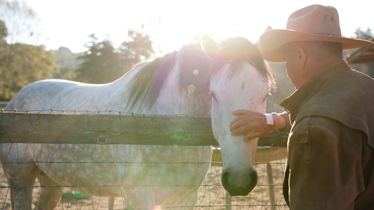 The Cowboy and the Queen