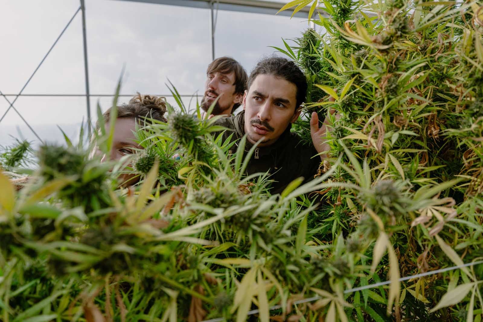 🚜🌿LA NIRVANA🚔😂