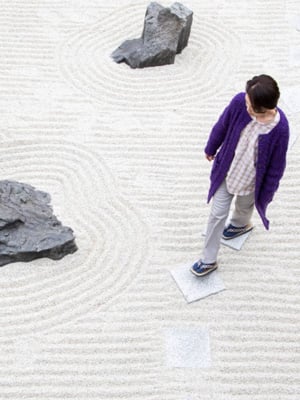 Saisons Hanabi avant première de Jardin zen en vo