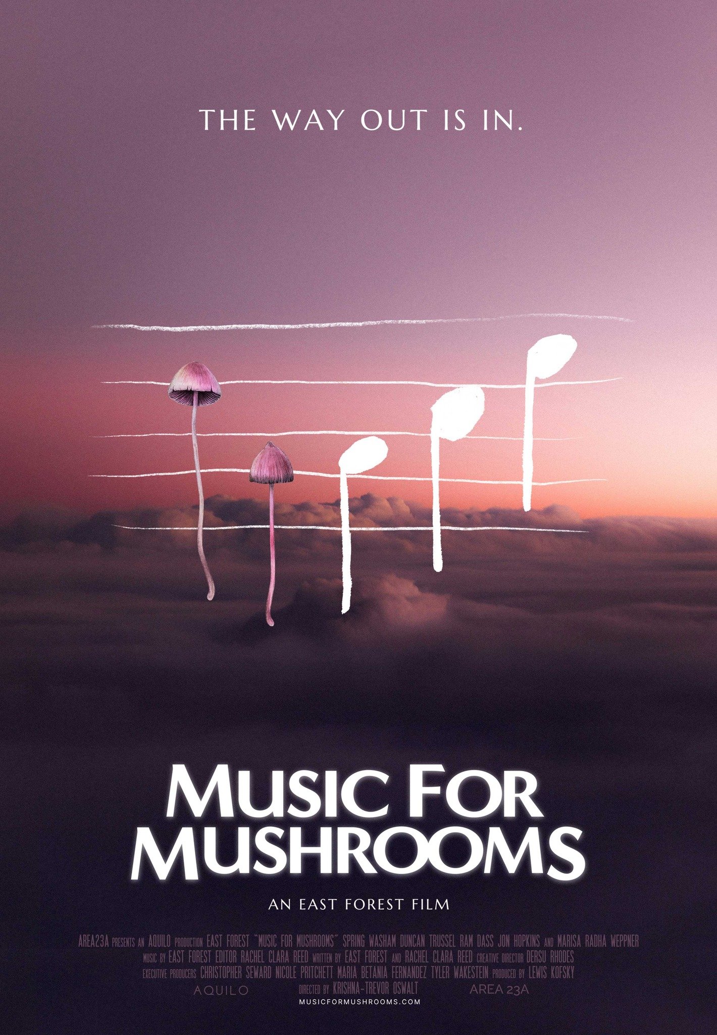 Music for Mushrooms (Premium Event)