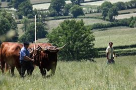 C'est le monde à l'envers !