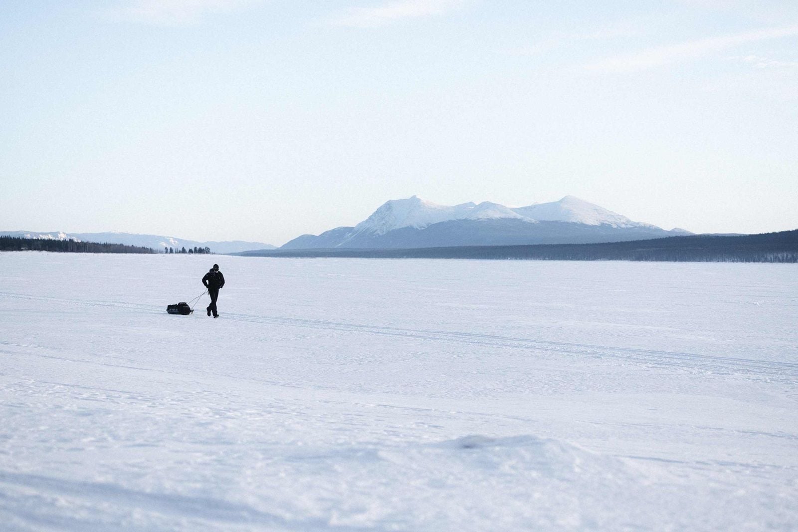 Avant-Première : L'appel du silence