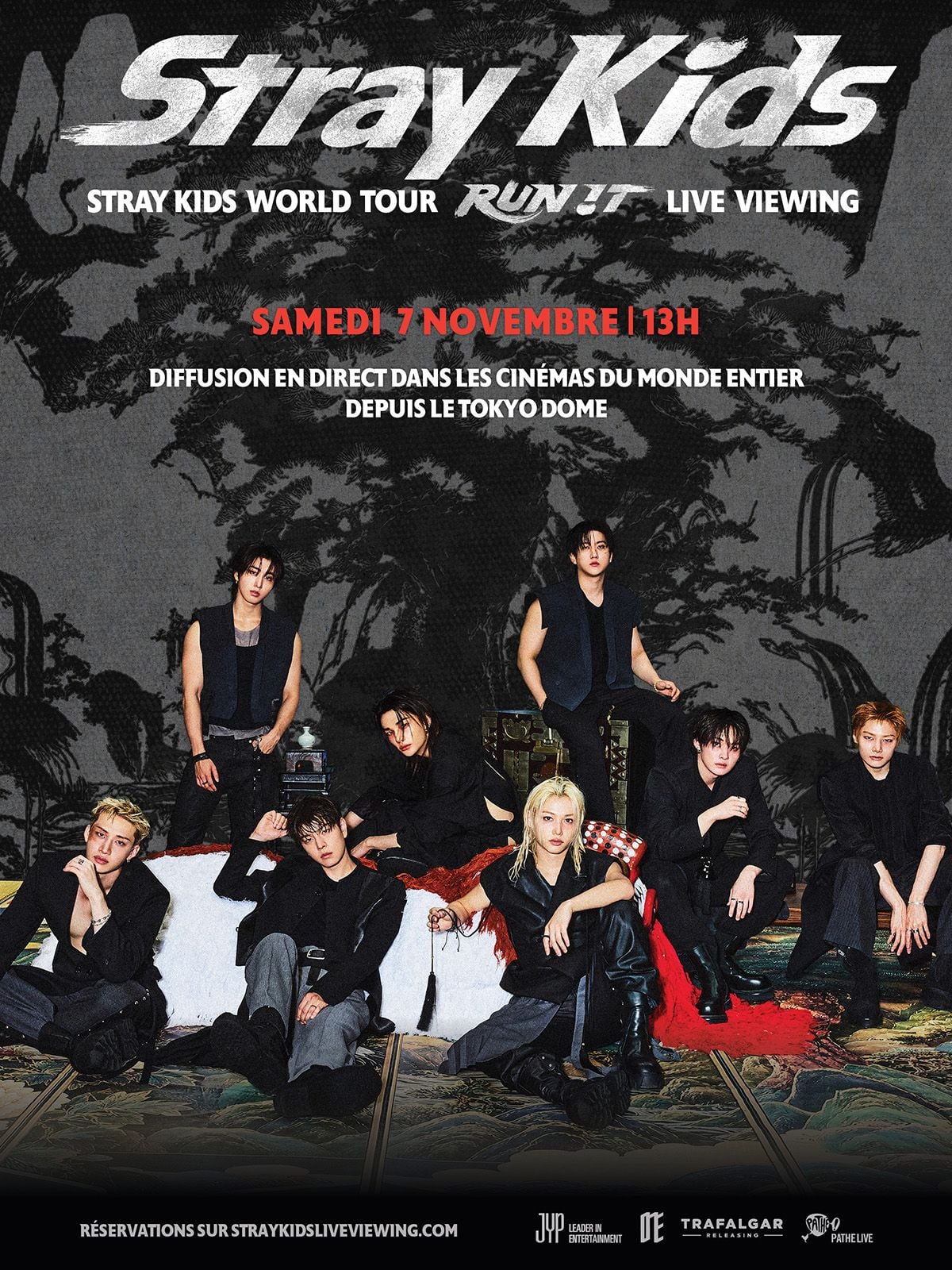 STRAY KIDS WORLD TOUR 