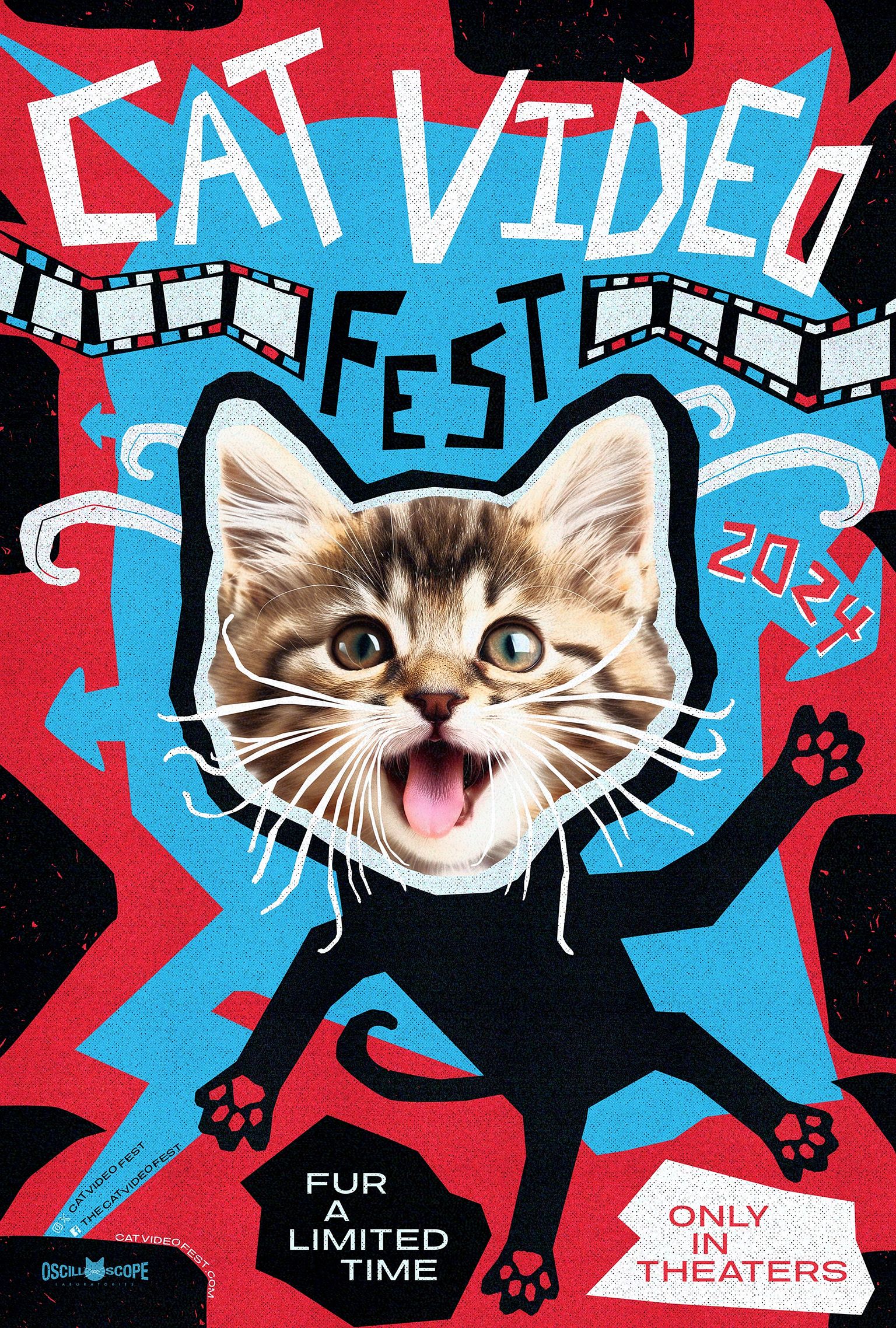 CatVideoFest 2024