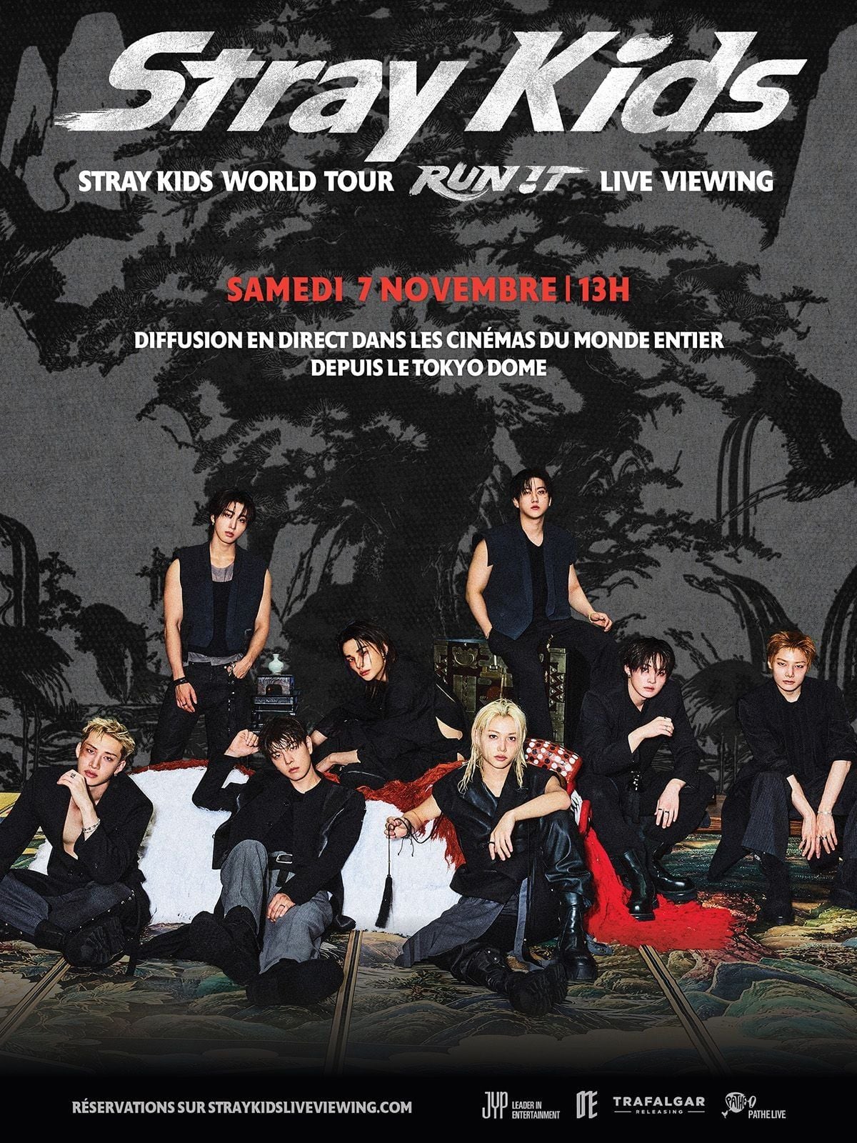 Stray Kids World Tour <Run It> Live Viewing