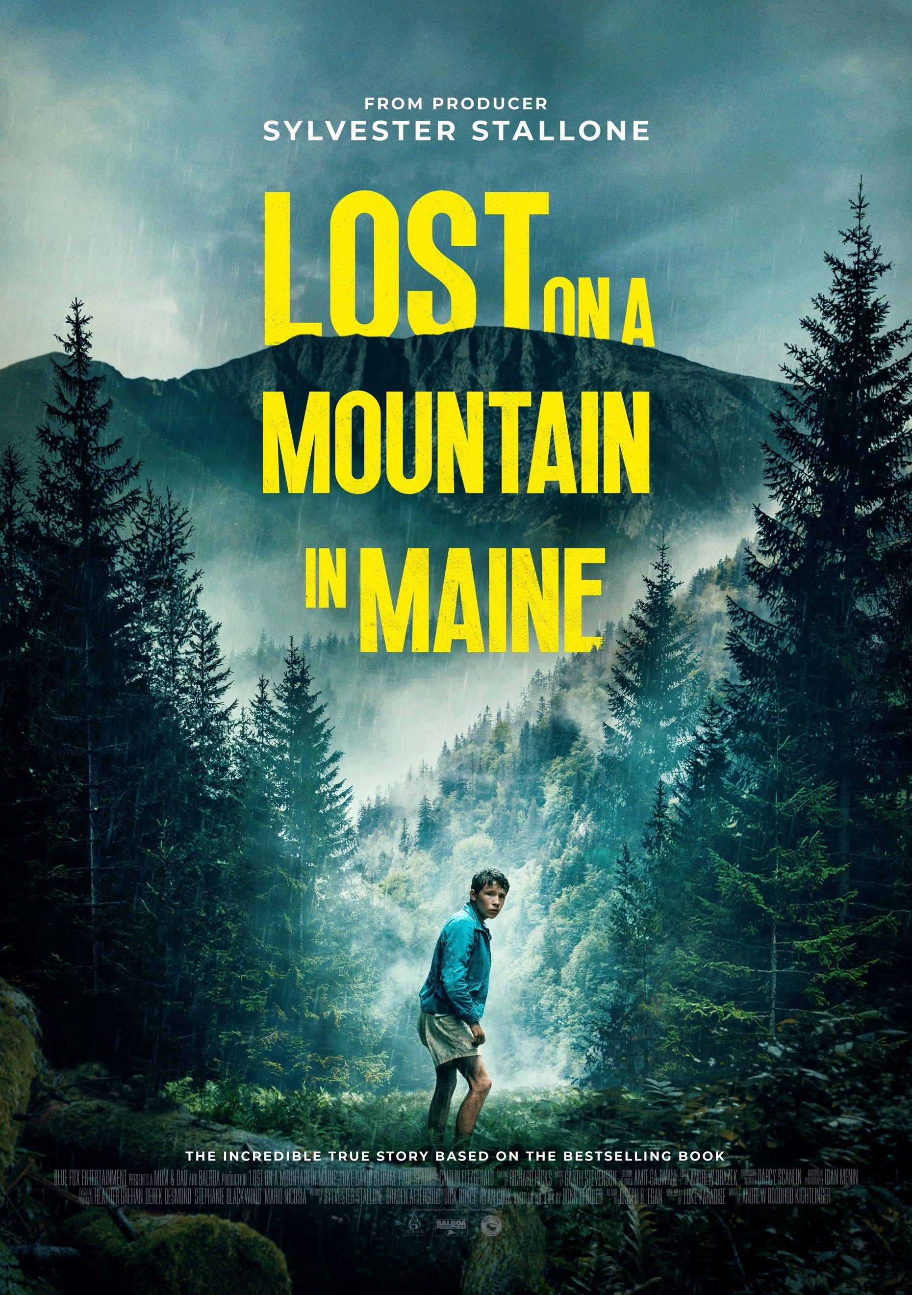 Lost On A Mountain In Maine Showtimes & Tickets Vernal Cinemas
