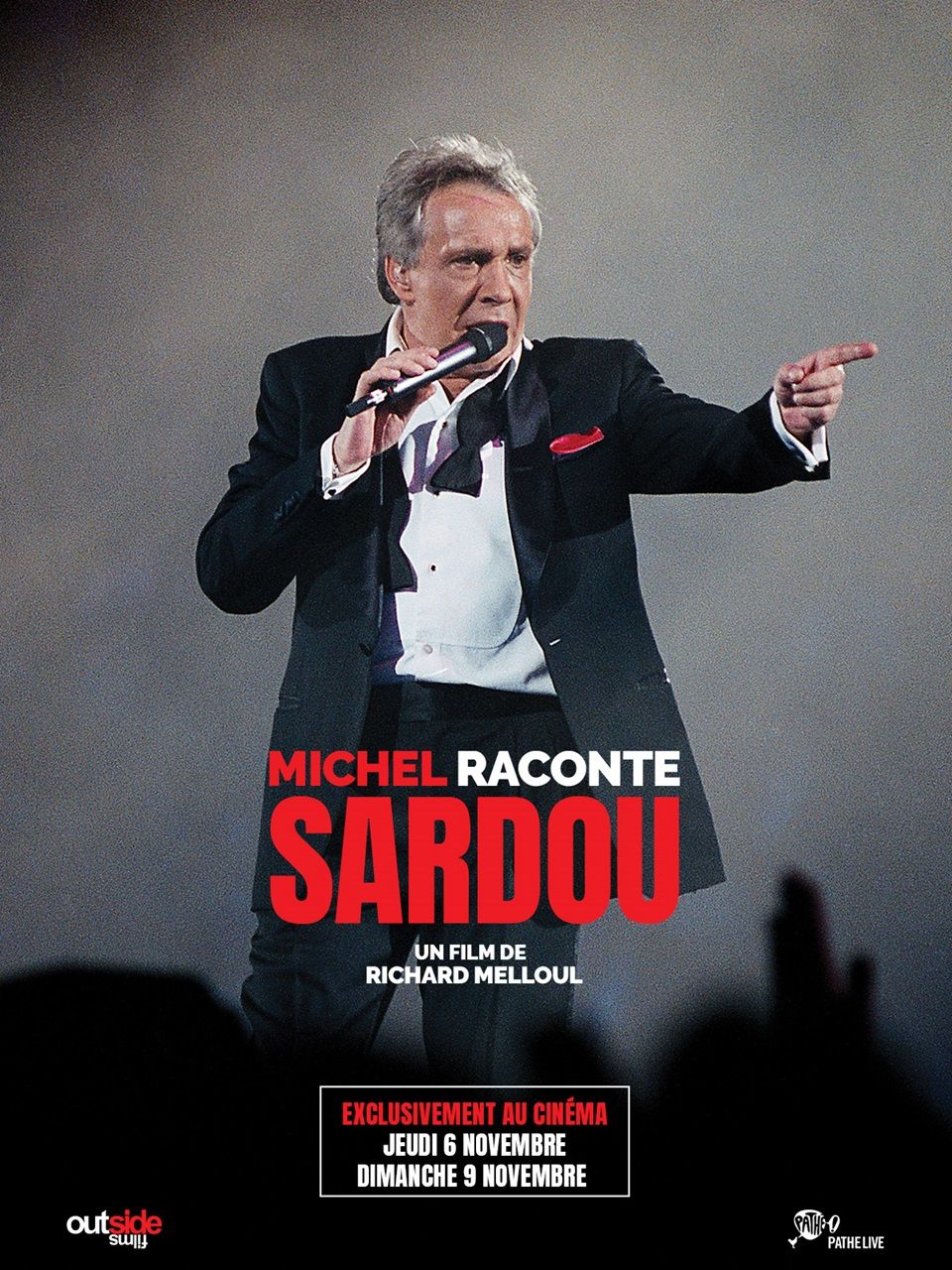 👉 Michel raconte Sardou : un hommage unique sur grand écran