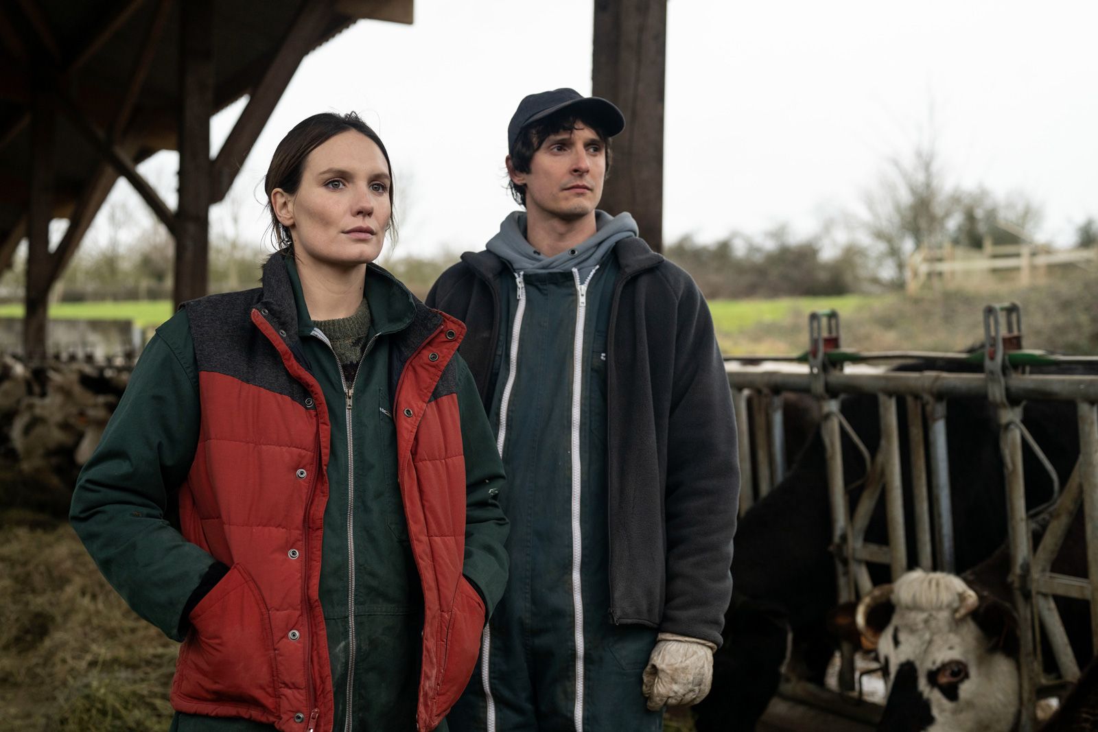 CGR LE PARIS - MONTAUBAN / Ciné-débat - LA GUERRE DES PRIX