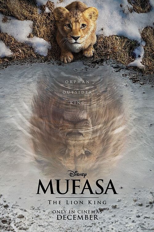 Baby Bunch: Mufasa: The Lion King