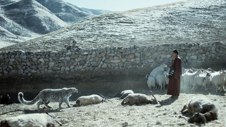 Le Léopard des neiges