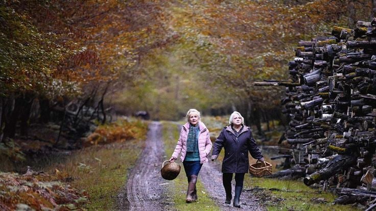 Quand vient l’automne