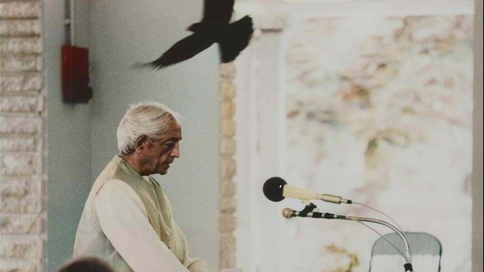 CGR LE PARIS - MONTAUBAN / Ciné-débat - KRISHNAMURTI, LA RÉVOLUTION DU SILENCE