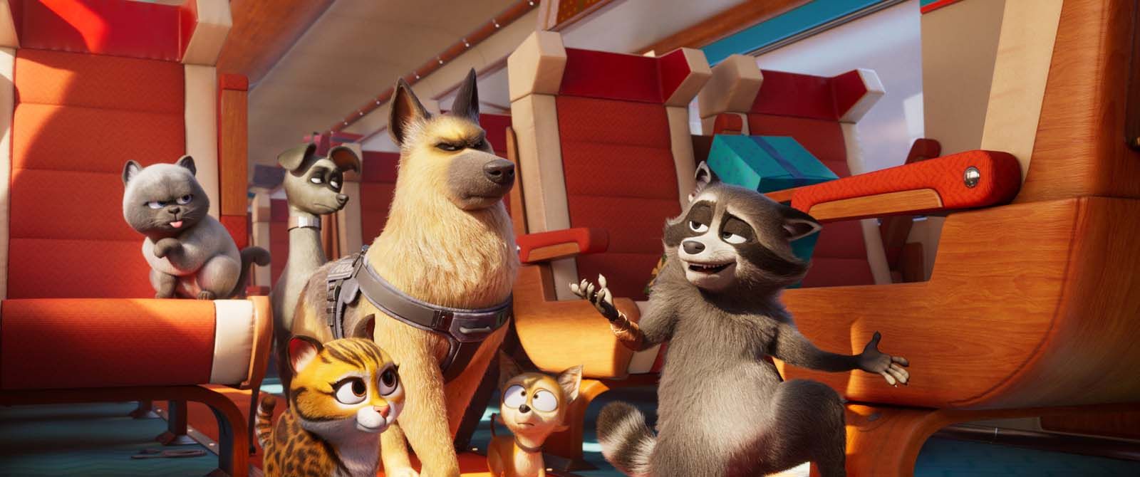 Falcon Express 🦝