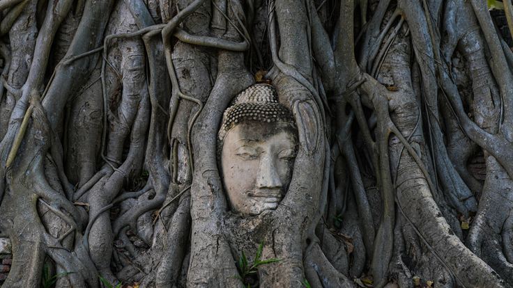 Thaïlande, le pays des Hommes libres