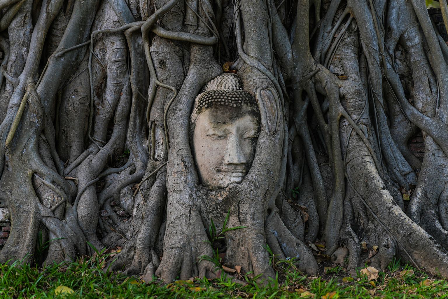 Thaïlande, le pays des Hommes libres