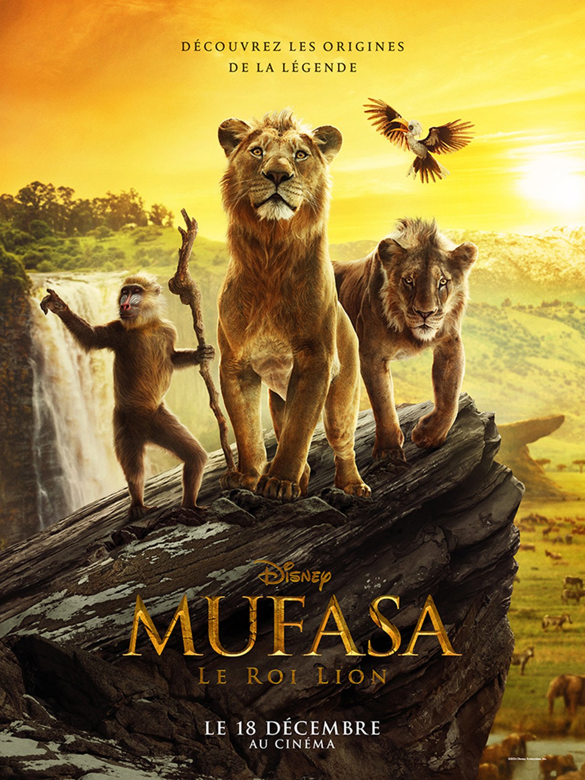 Infos & horaires pour Mufasa le roi lion CGR Cinémas