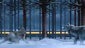 The Polar Express