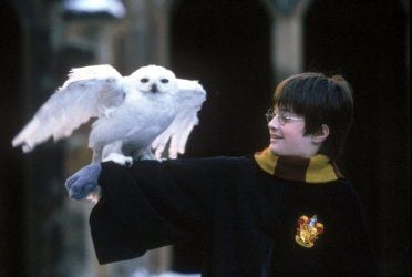 MARATHON Harry Potter 🦉