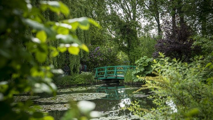 Painting The Modern Garden: Monet To Matisse