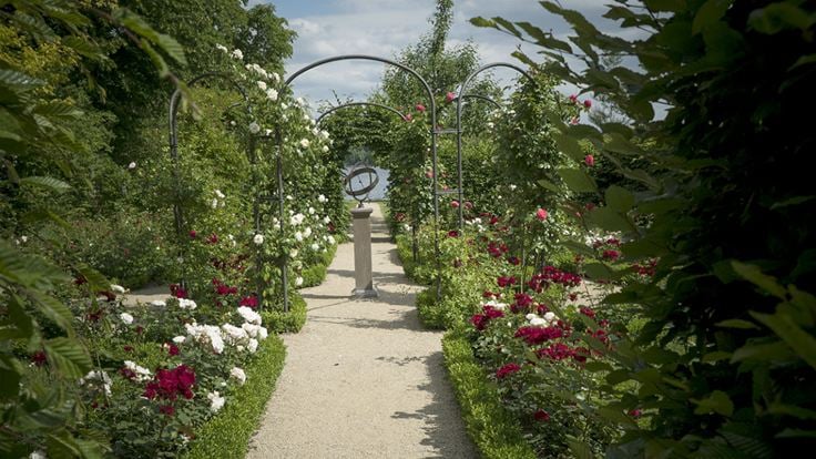 Painting The Modern Garden: Monet To Matisse