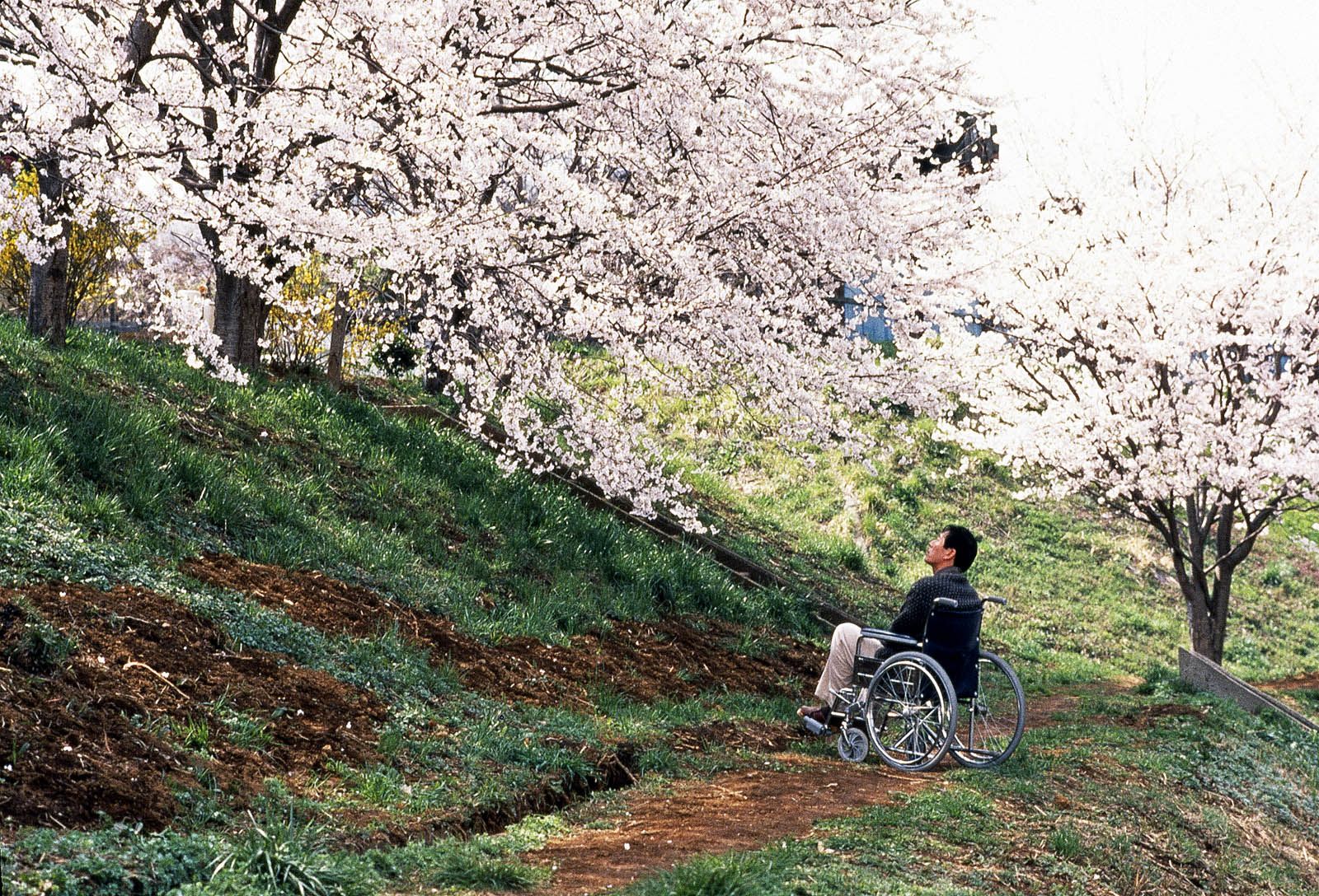 Hana-Bi
