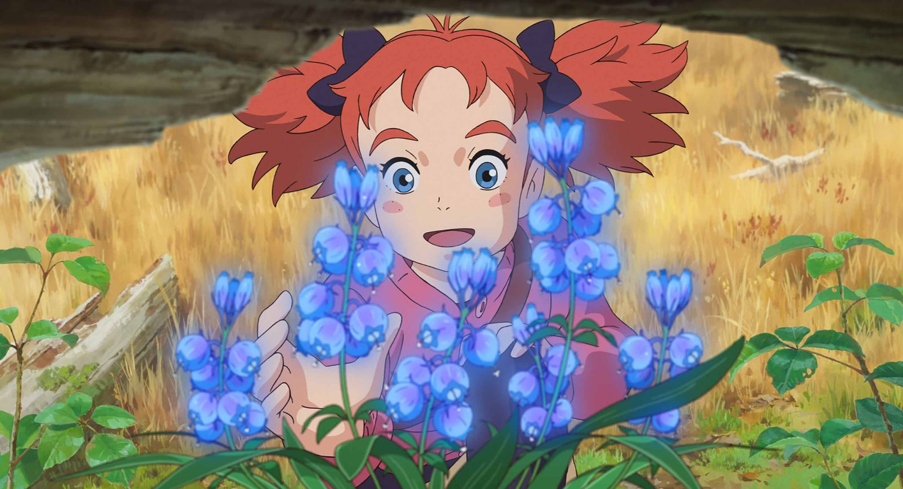 CGR LE PARIS - MONTAUBAN / Ciné-atelier et goûter - MARY ET LA FLEUR DE LA SORCIÈRE