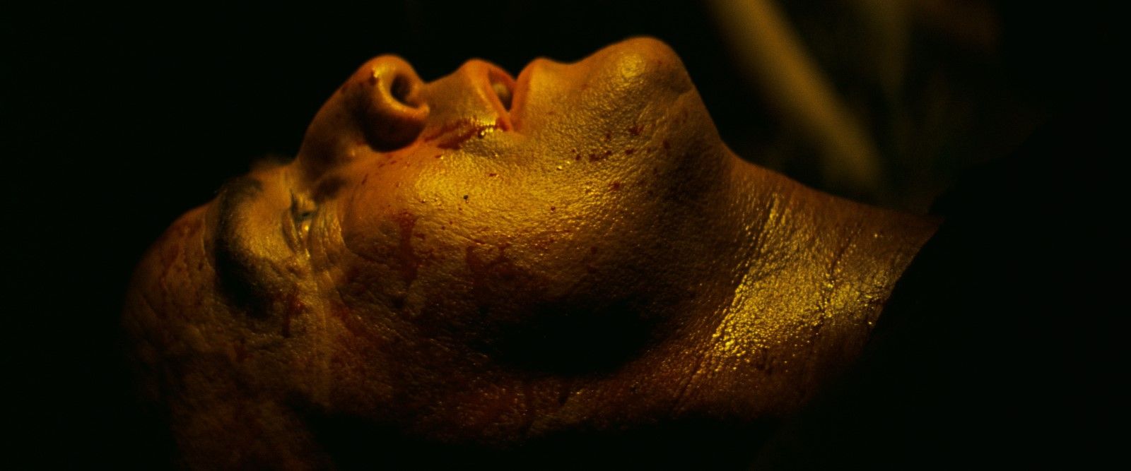 Séance spéciale - Apocalypse Now
