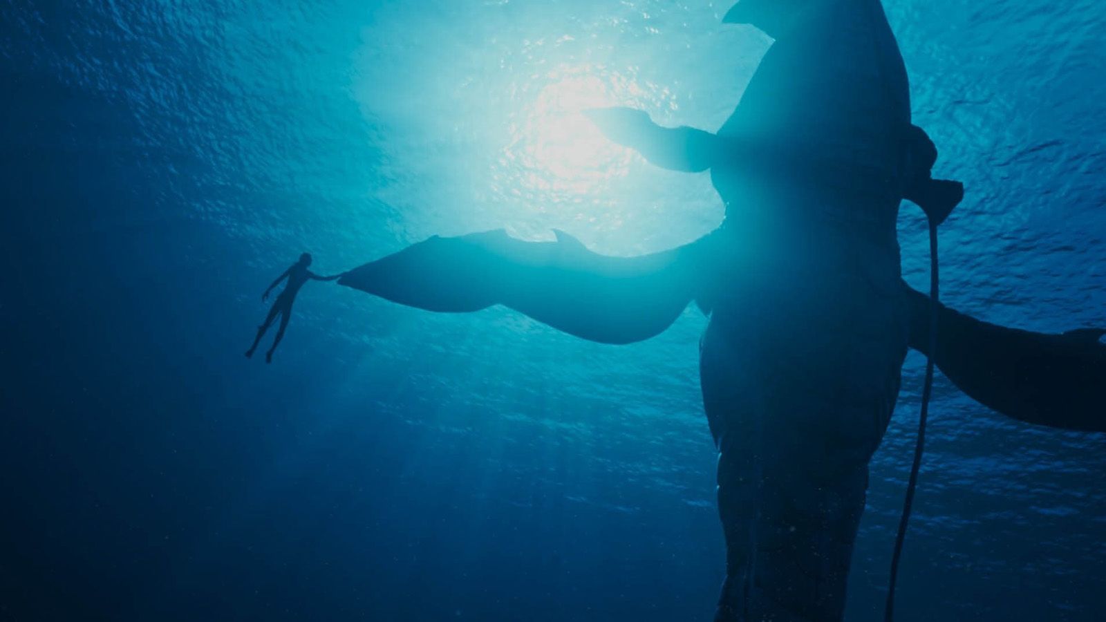 🐋 Avatar : la voie de l'eau 🐋