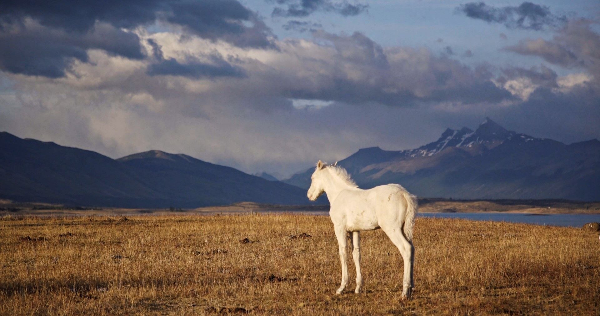 CONNAISSANCE DU MONDE : LA PATAGONIE