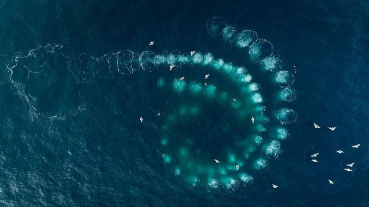 Les Gardiennes de la planète