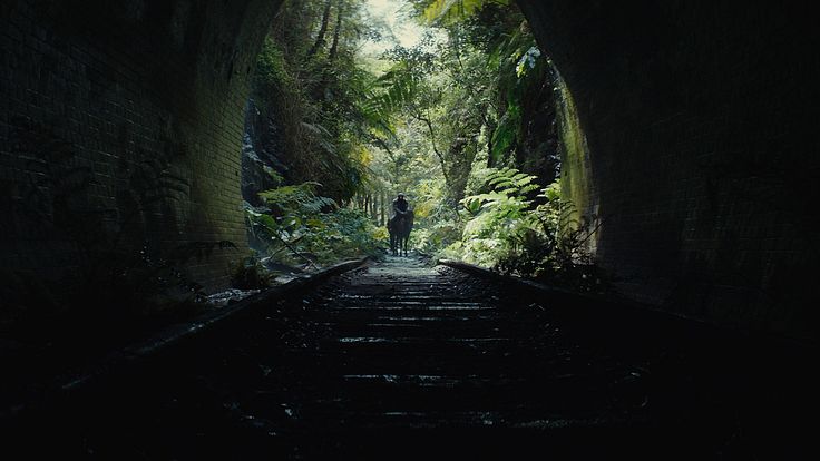 Kingdom of the Planet of the Apes