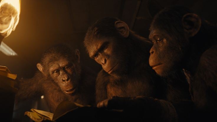 5/9 Kingdom of the Planet of the Apes