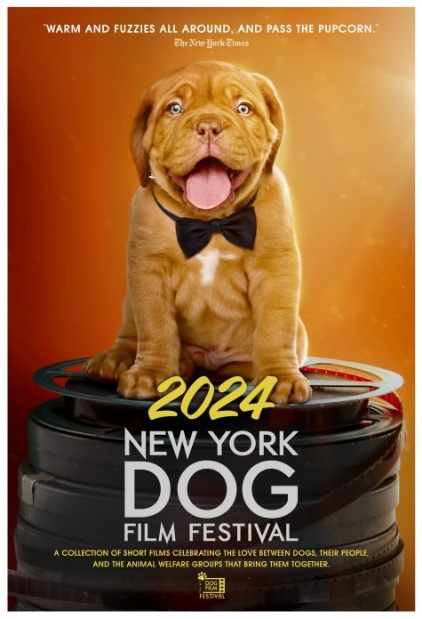 The 2024 NY Dog Film Festival