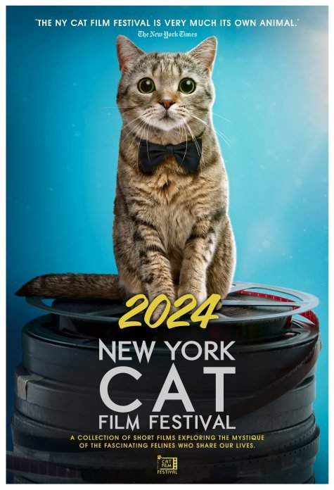 The 2024 NY Cat Film Festival