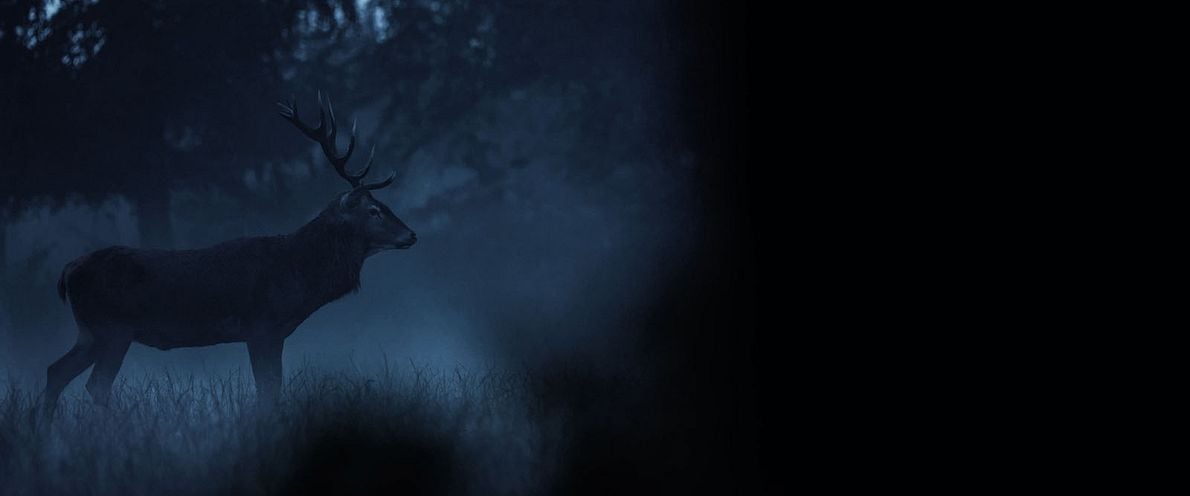 Argoat