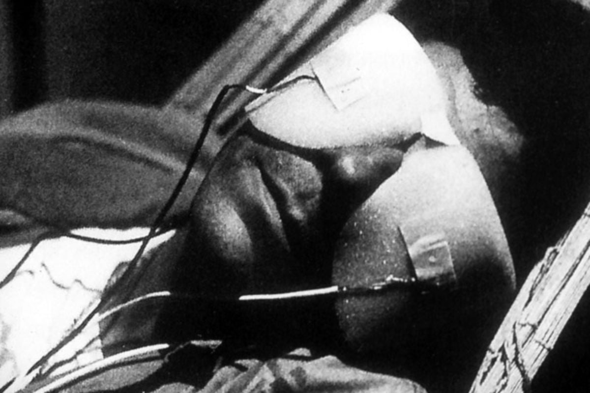 Ciné-Fil | LA JETÉE & L'ARMÉE DES 12 SINGES