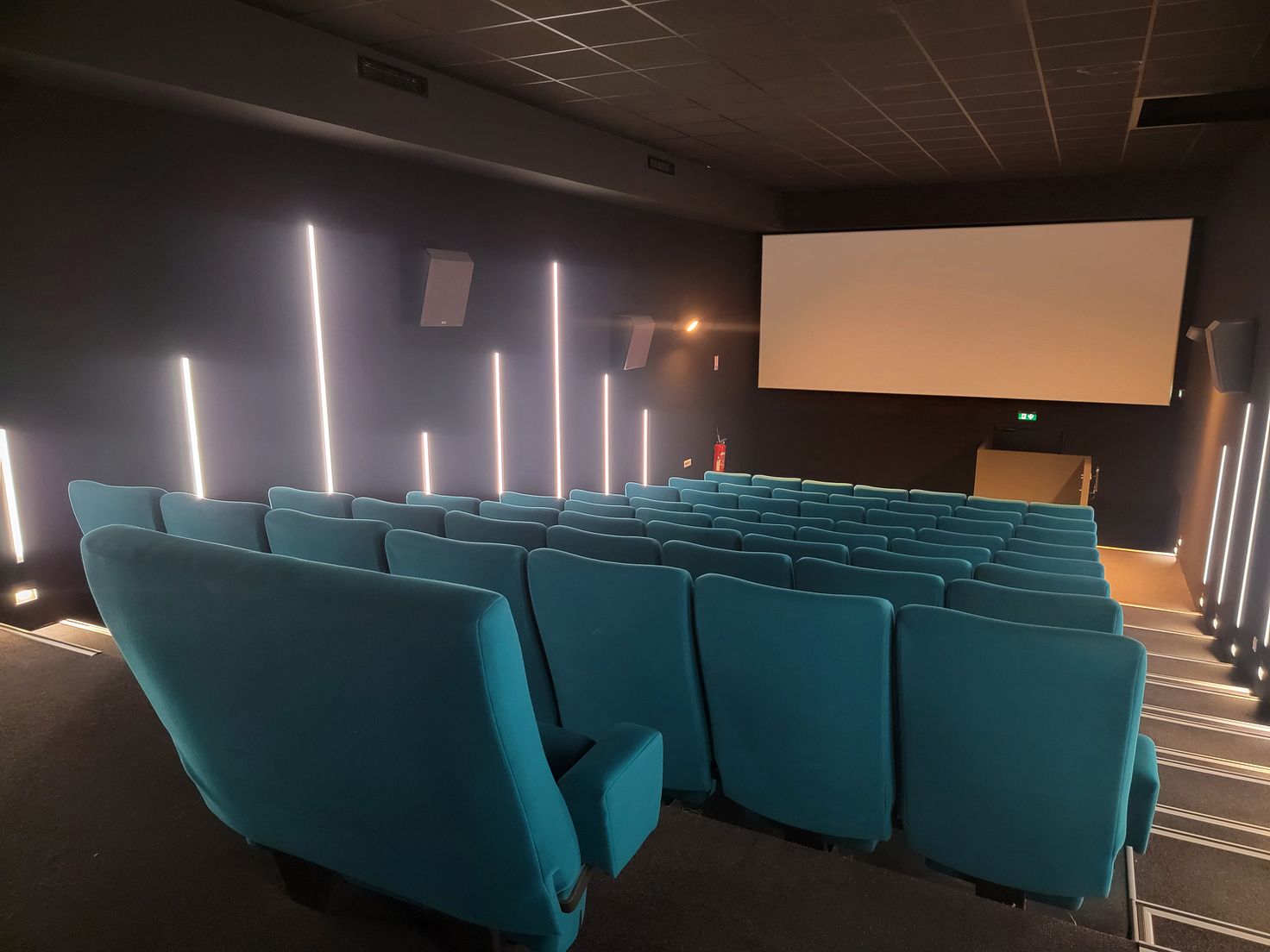 Les Cinémas du Palais