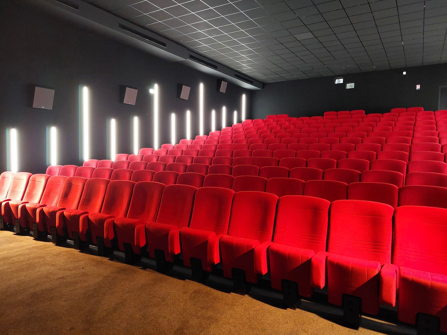 Les Cinémas du Palais